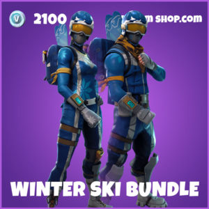 Winter Ski FOrtnite Bundle